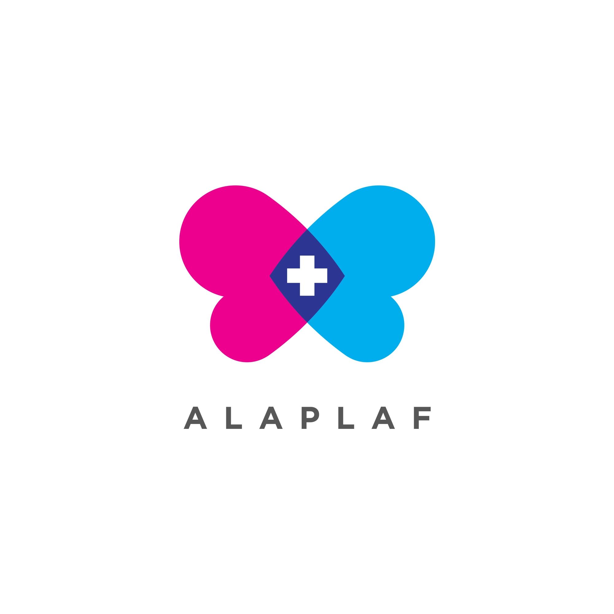 ALAPLAF ONG's | Branding Strategy | 360 Design