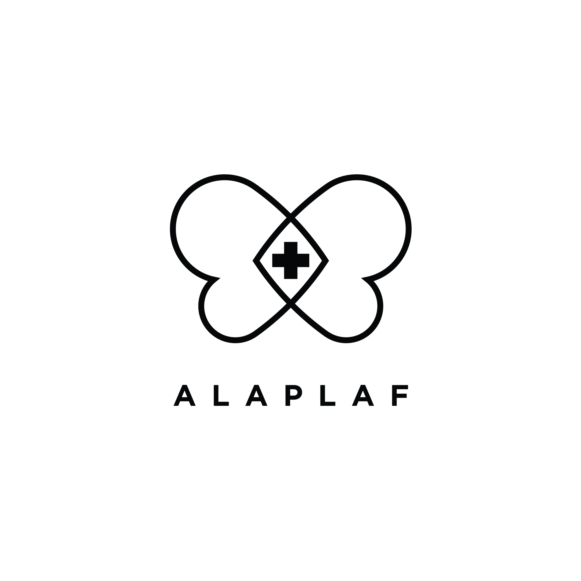 ALAPLAF ONG's | Branding Strategy | 360 Design