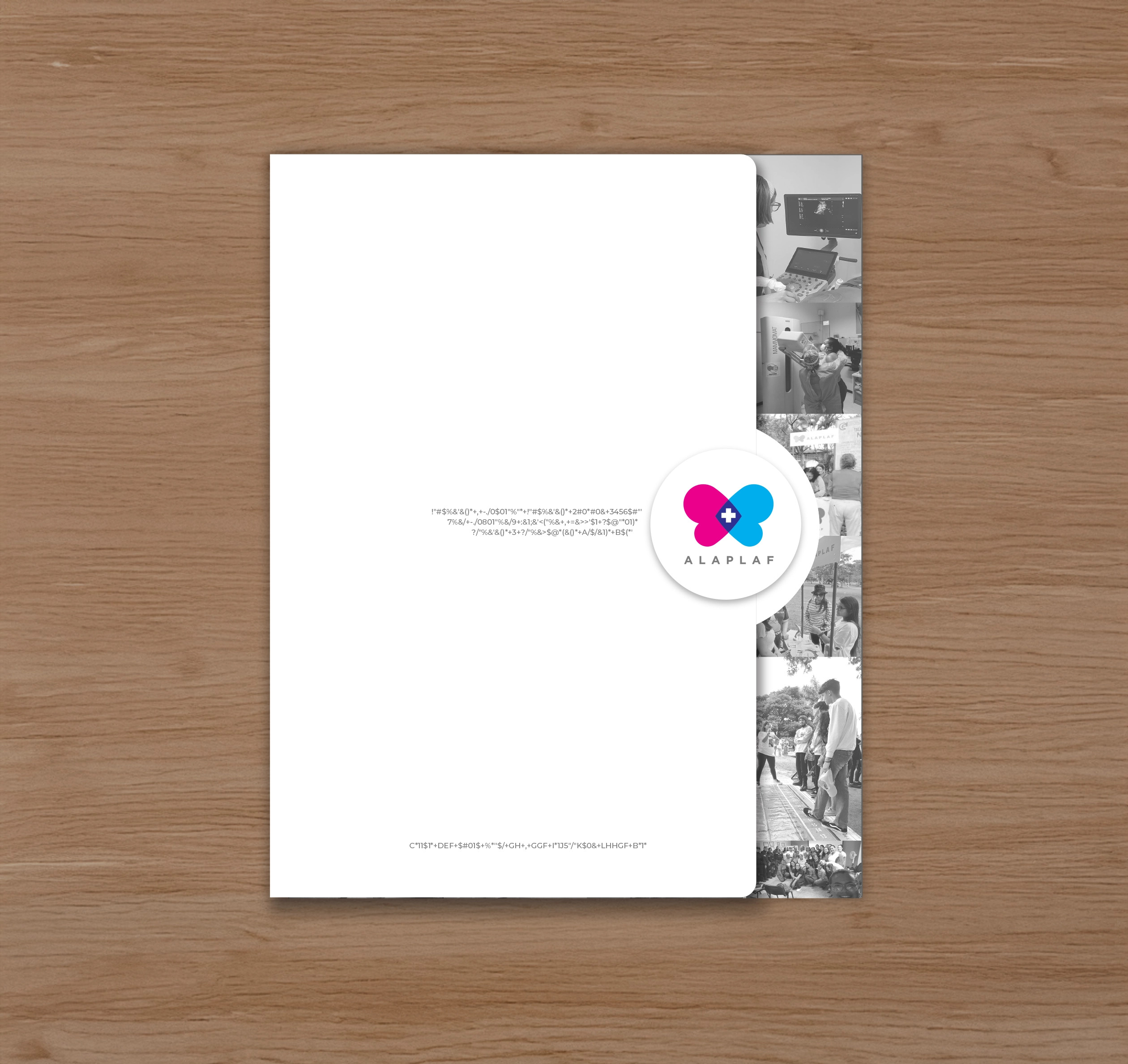 ALAPLAF ONG's | Branding Strategy | 360 Design