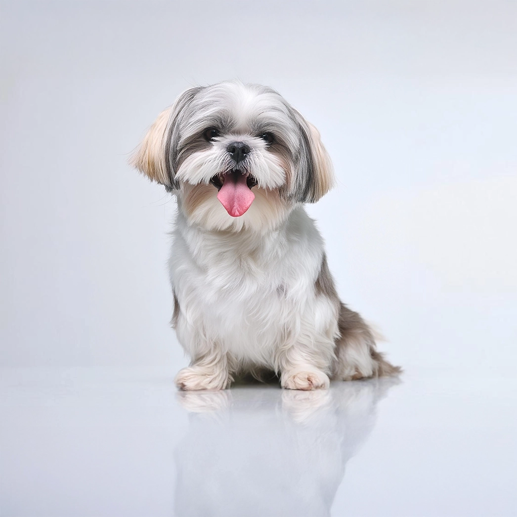 Lamb Bites · Pet Food Branding · 04
